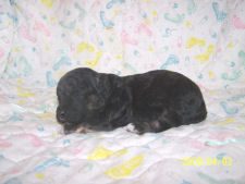 click here to see me grow