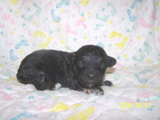 click here to see me grow